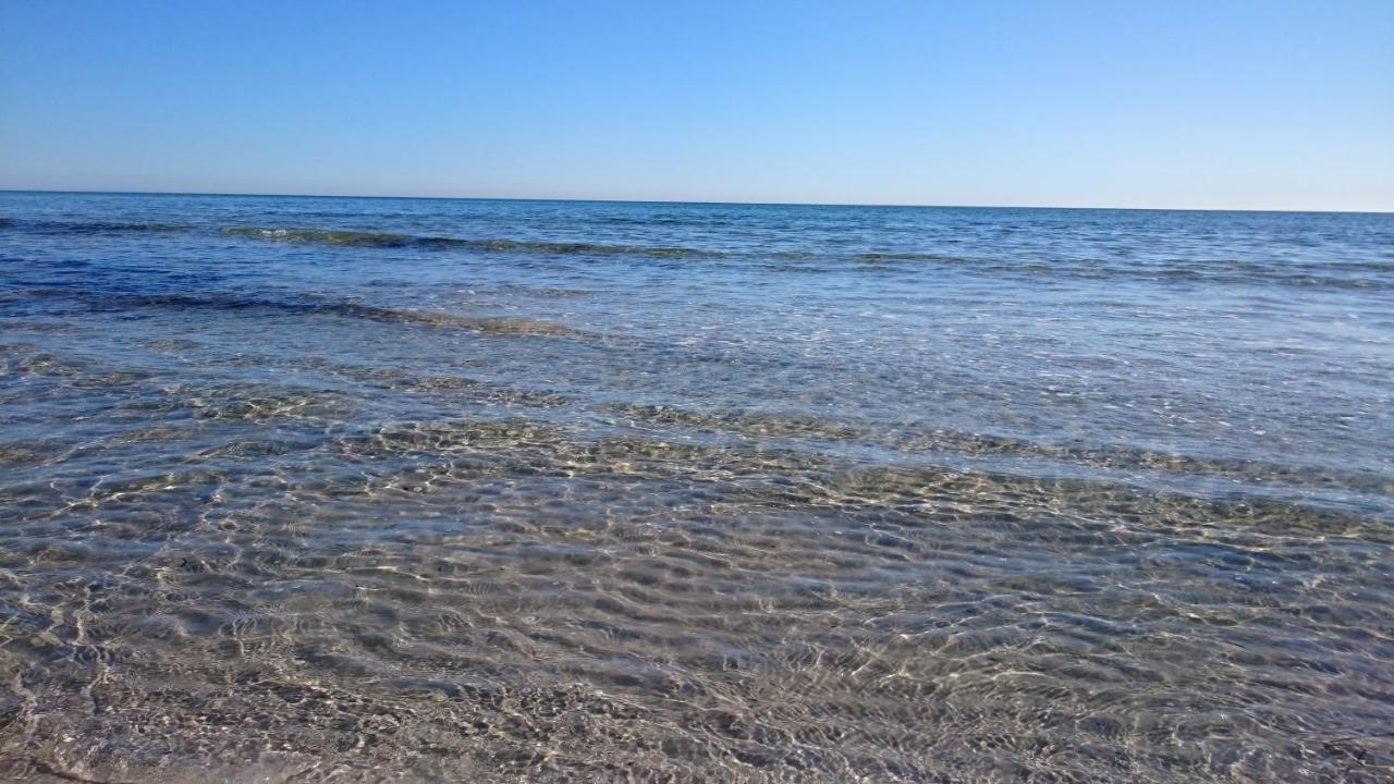 Tiny House 200 M From Kaempinge Beach Höllviken Εξωτερικό φωτογραφία